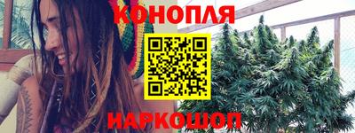 jwh Новозыбков