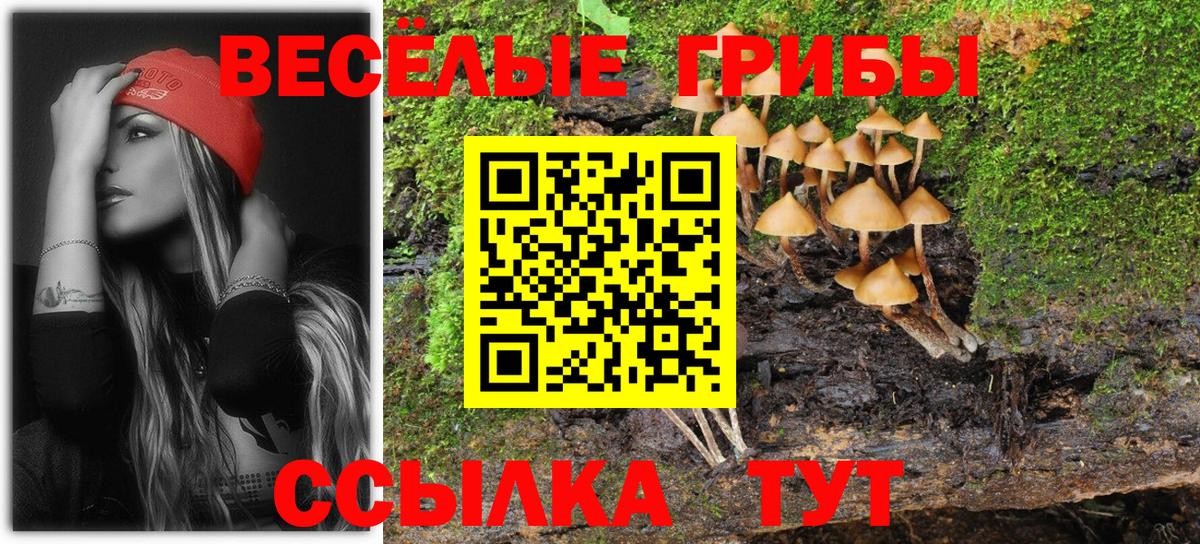 Канабис  Codein  ГАШ  A-PVP СОЛЬ   Тамбов  Купить наркотик  Экстази  Вход с VPN  МЕФ кристаллы  ГАШ  MDMA 