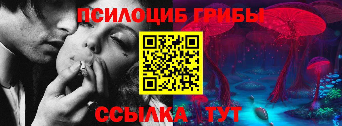 Псилоцибиновые грибы Psilocybine cubensis  Вход с VPN  Тамбов  Псилоцибиновые грибы Psilocybine cubensis 